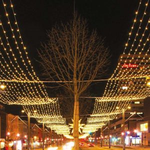 LED Net 230V