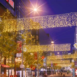 LED Curtains 230V