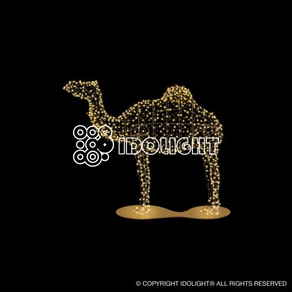 Camel 300