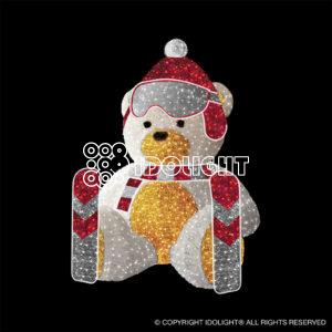 Teddy Ski 300