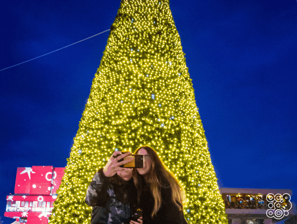 sequence of christmas trees decorated with led light strings